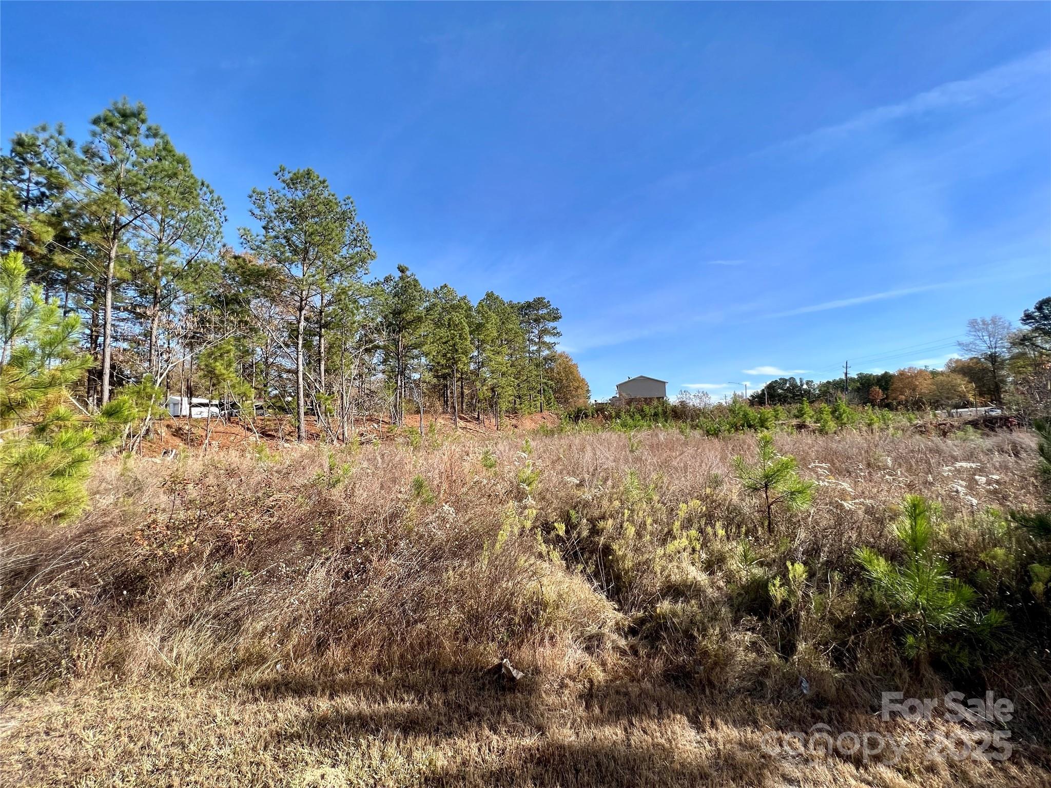 1.18-acres McIlwain Road Lancaster, SC 29720 - Photo 5 of 5 a view of mountain view with lots of trees