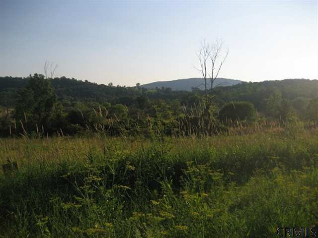 296 Stage Coach Road Sharon, NY 13459 - Photo 7 of 9 Photo 7