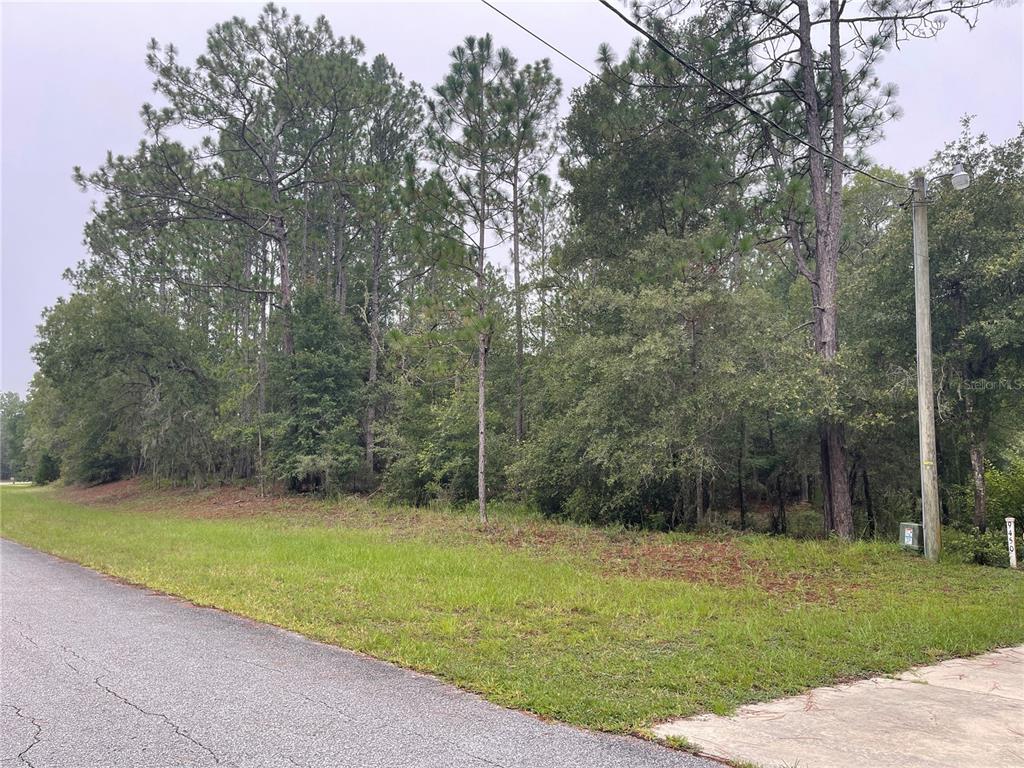 Southwest 215th Court Road Dunnellon, FL 34431 - Photo 1 of 1 Gallery Image 1