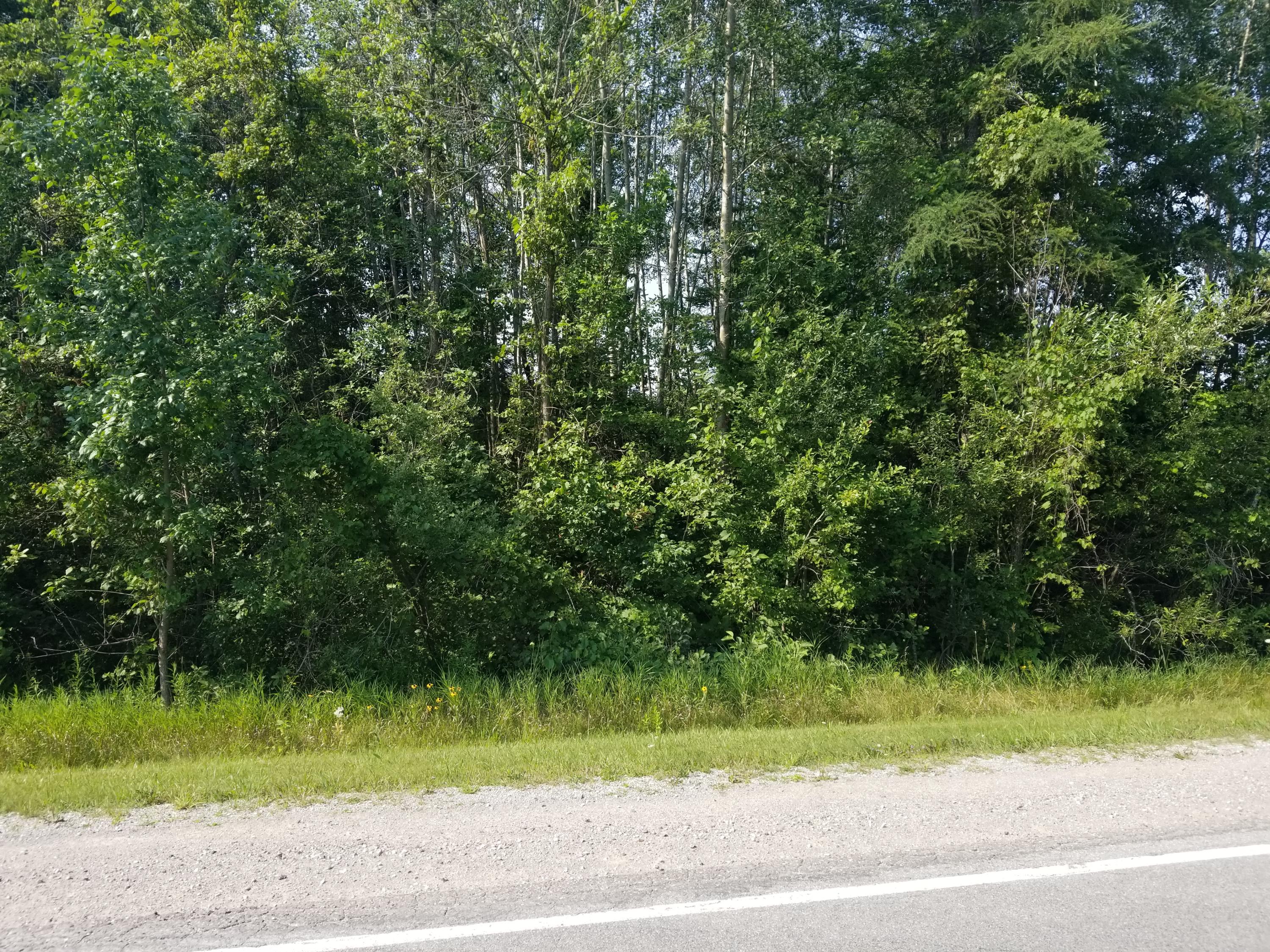 Nhn Bolton Road Posen, MI 49776 - Photo 11 of 13 Gallery Image 11