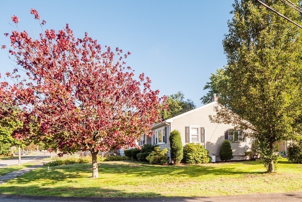 76 Sherman Road Dedham, MA 02026 - Photo 4 of 40 Gallery Image 4