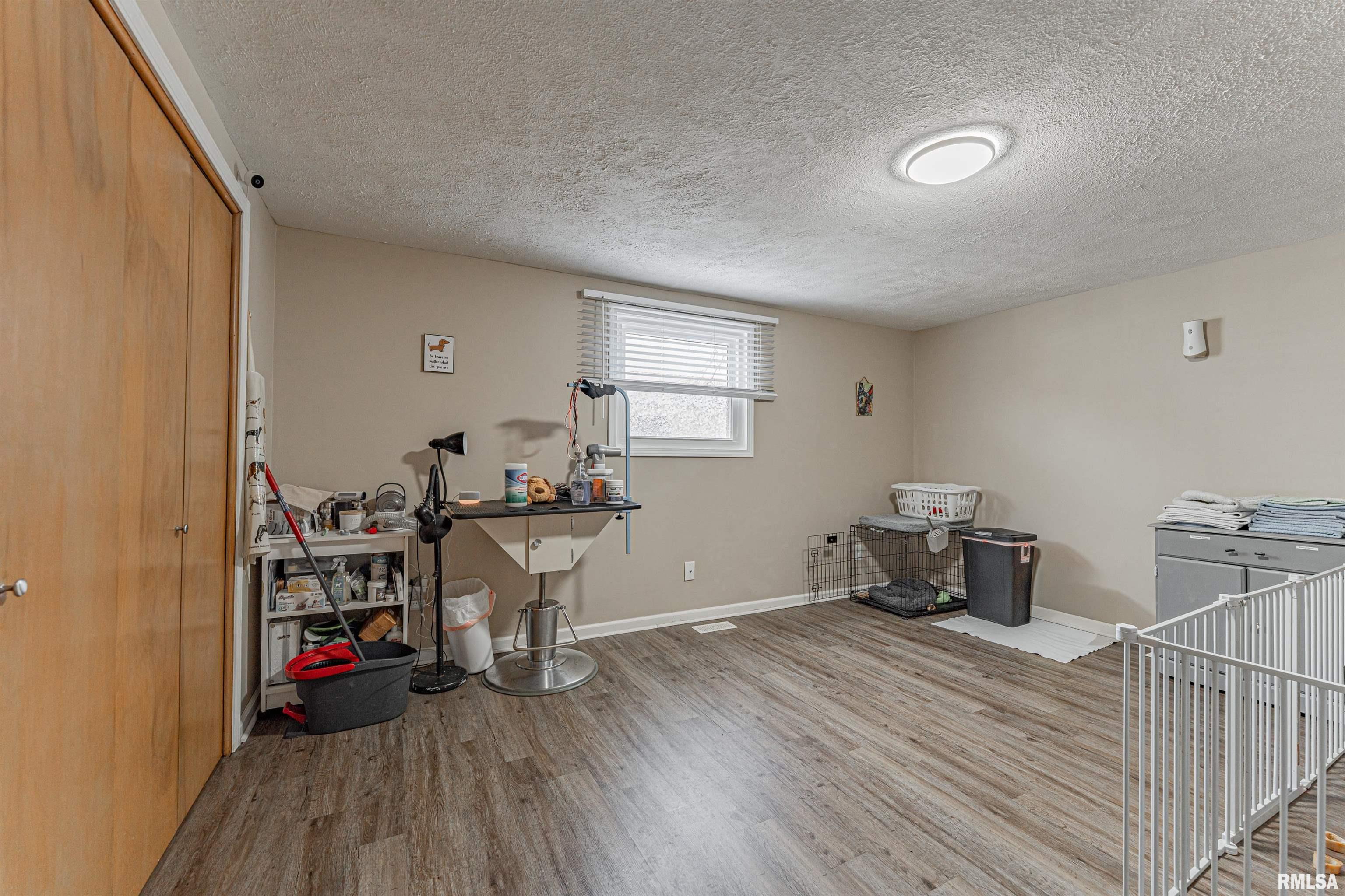 109 South Main Street Saybrook, IL 61770 - Photo 20 of 39