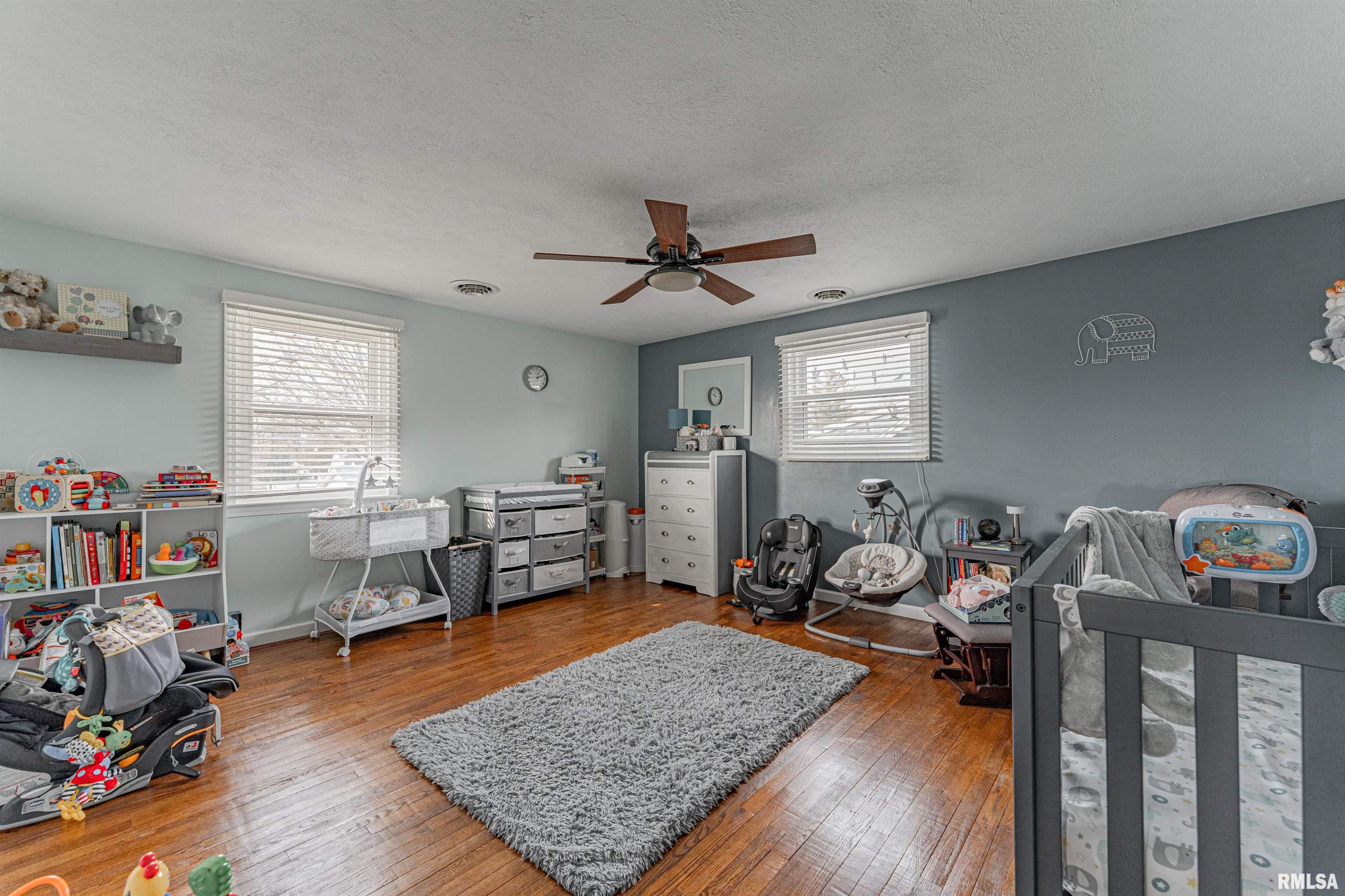 109 South Main Street Saybrook, IL 61770 - Photo 24 of 39