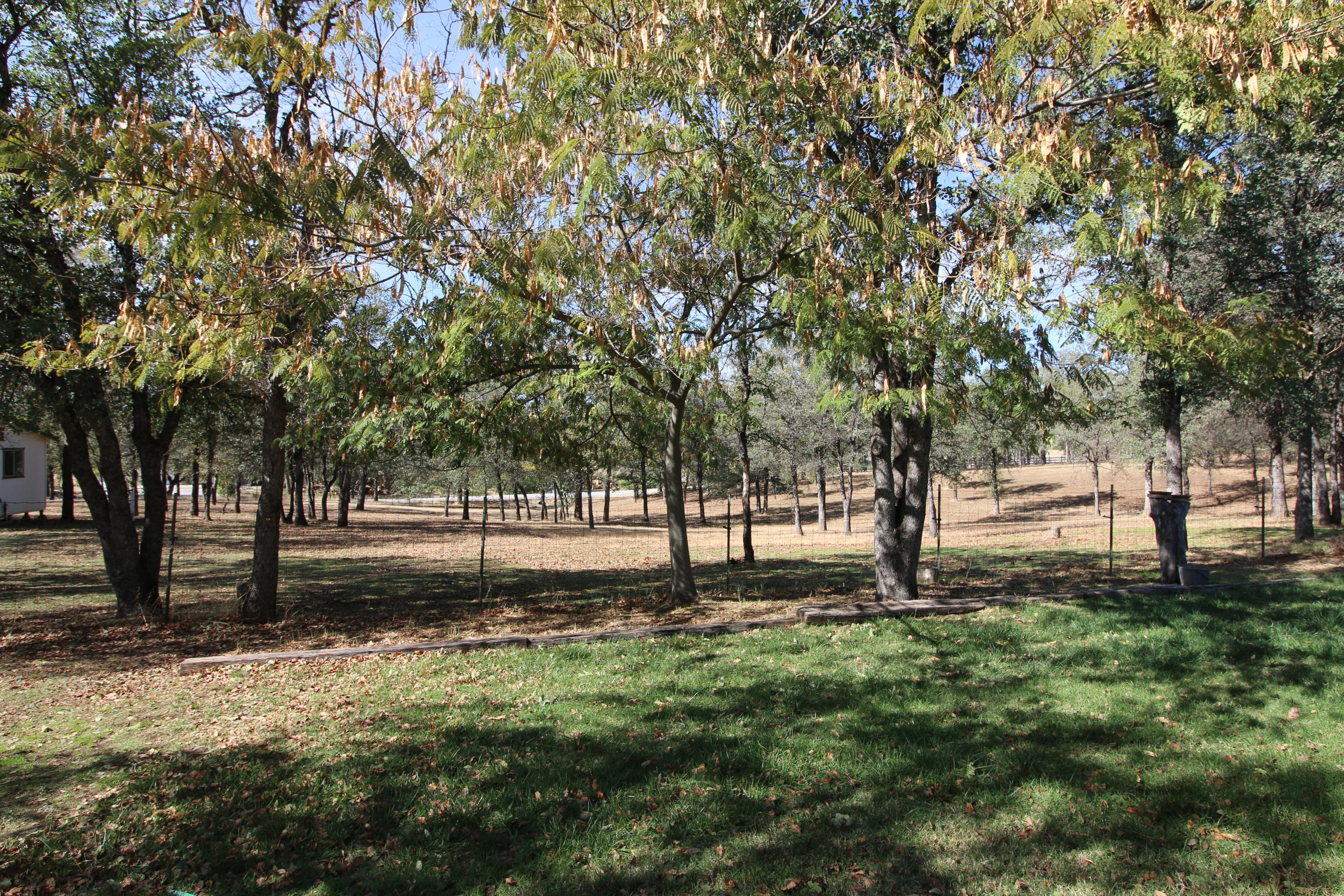21242 Boyle Road Redding, CA 96003 - Photo 12 of 28 2016-10-19 01.06.28