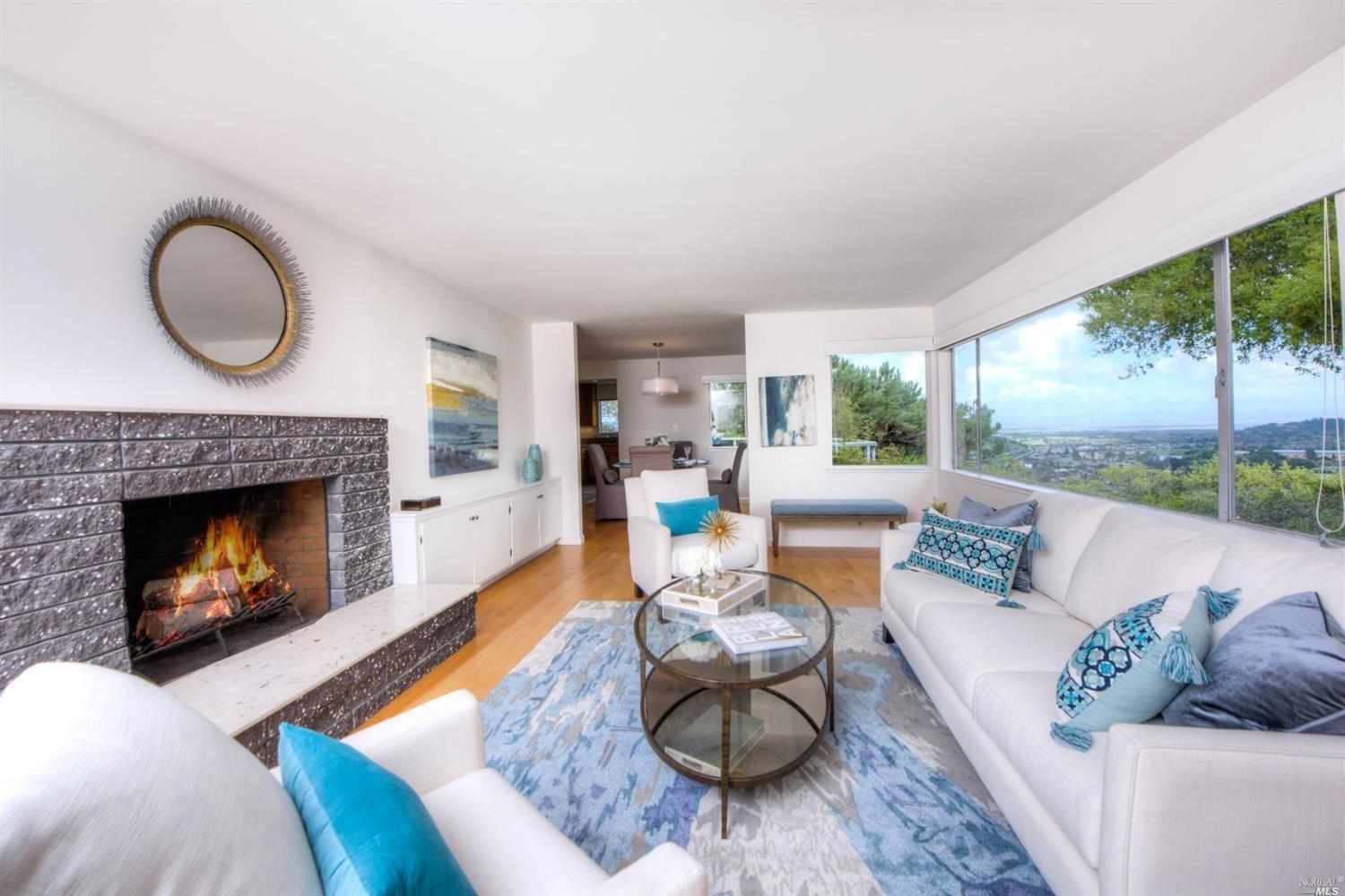 146 Ridgewood Drive San Rafael, CA 94901 - Photo 1 of 1 a living room with furniture a fireplace a large window and a potted plant