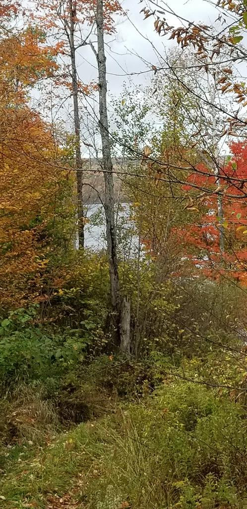 . Boomhower Road Lyon Mountain, NY 12952 - Photo 9 of 25 Gallery Image 9