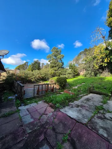 a view of a backyard with plants and a yard