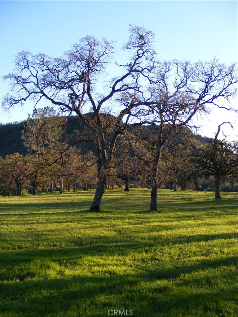 1985 Flatiron Road Chico, CA 95928 - Photo 2 of 67