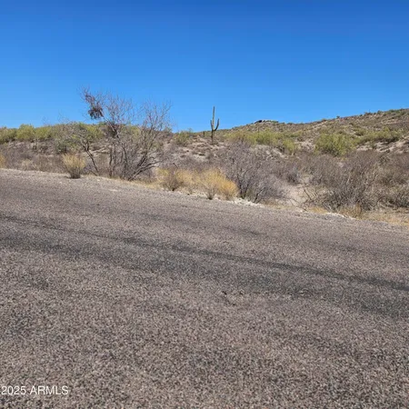 a view of a dry field with mountains in the background