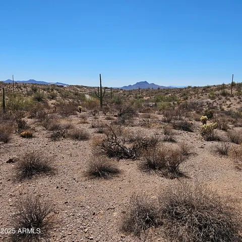 a view of a dry yard with trees in the background