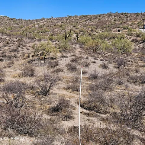 a view of a dry field