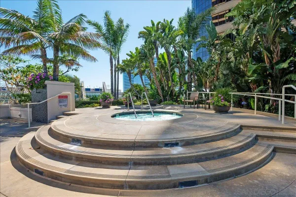 a outdoor space with lots of palm trees