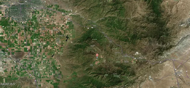 a view of a tree in a yard