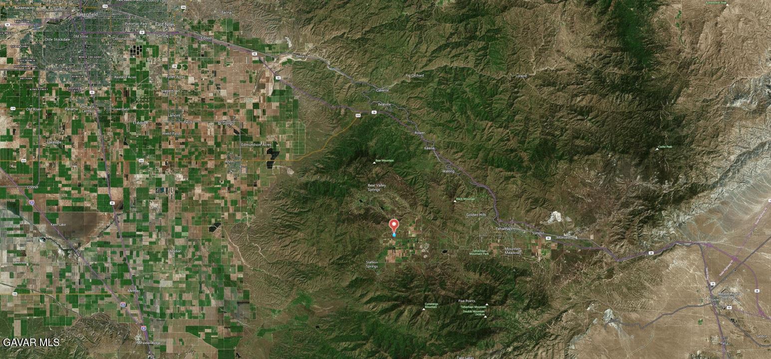 10 Assault Drive Tehachapi, CA 93561 - Photo 11 of 12 a close view of a forest