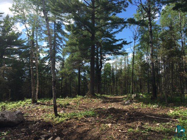 Xxx Xxx Big Timber Road Ely, MN 55731 - Photo 3 of 14 Gallery Image 3