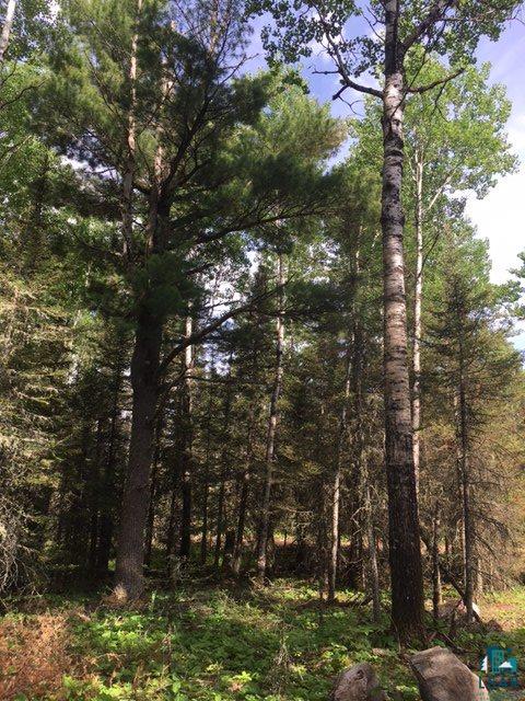 Xxx Xxx Big Timber Road Ely, MN 55731 - Photo 5 of 14 Gallery Image 5