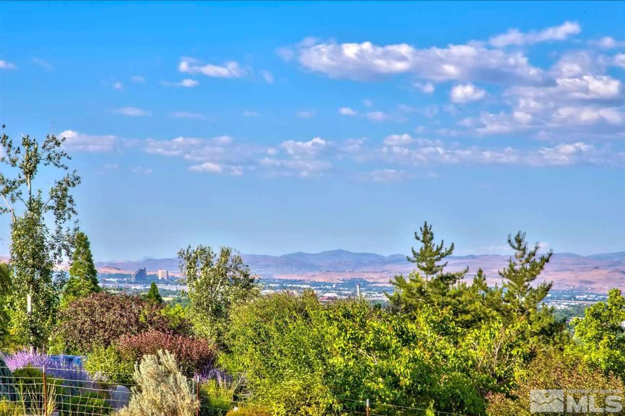 3550 Lamay Lane Reno, NV 89511 - Photo 11 of 25 a view of a flower