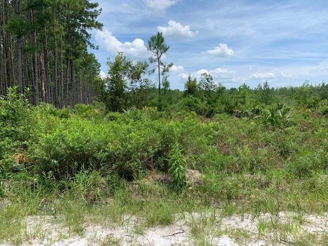 Lot 82 Chimney Rock Road, Unit 82 White Oak, GA 31568 - Photo 1 of 1