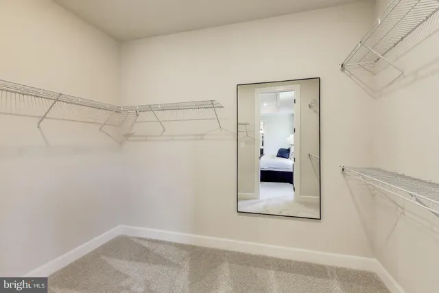 a bathroom with a shower and a sink