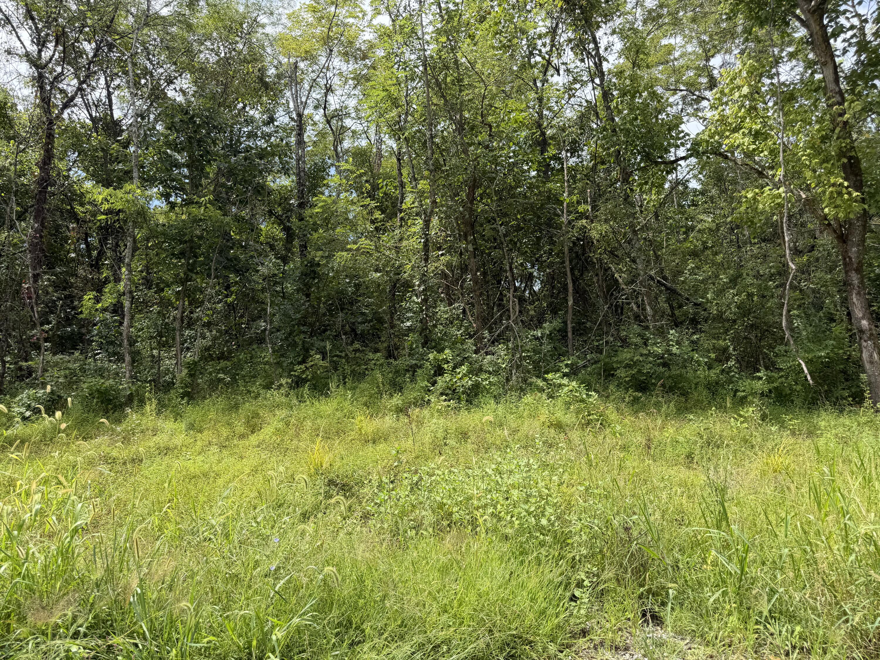 0 New Columbus Road Owenton, KY 40359 - Photo 10 of 18 IMG_5647
