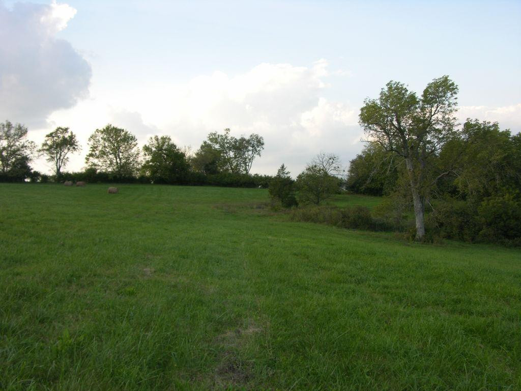 6415 Combs Ferry Road Winchester, KY 40391 - Photo 7 of 17 Photo 7