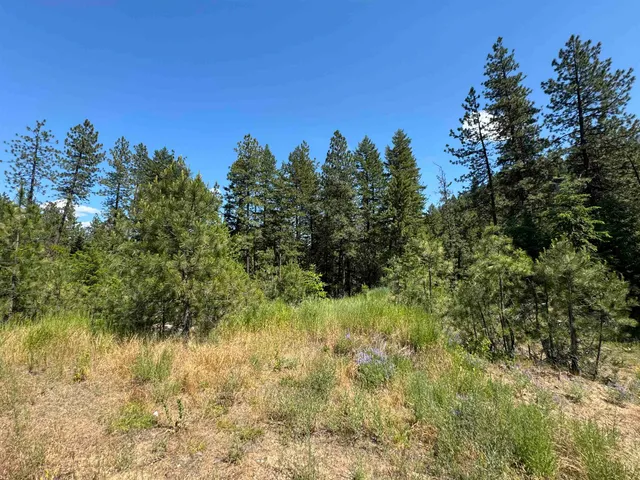 $99,000 | 402 North Beck Lane, Unit LOT #8, Springdale, WA 99173