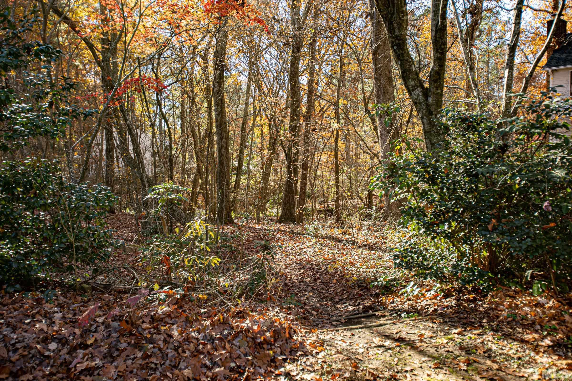 410 Weathergreen Drive Raleigh, NC 27615 - Photo 41 of 44 a view of a yard with trees