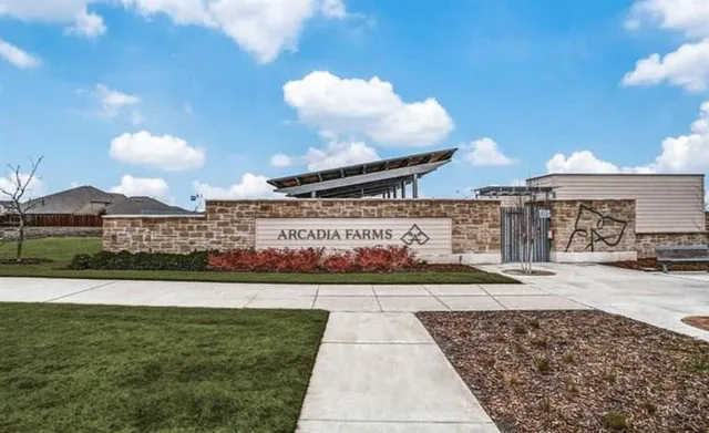 a view of a park with large trees
