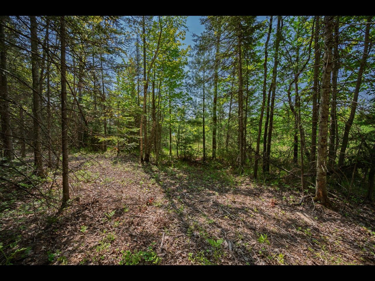 1-4 Memory Lane Eagle River, WI 54521 - Photo 4 of 14