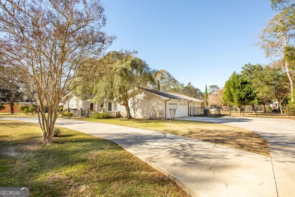 a view of a yard with plants and trees