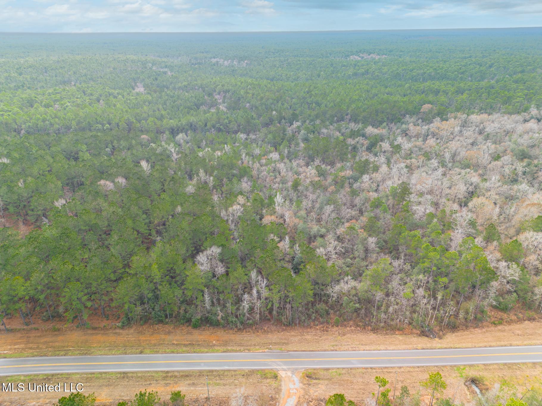East Mchenry Road McHenry, MS 39561 - Photo 13 of 14 E McHenry-50