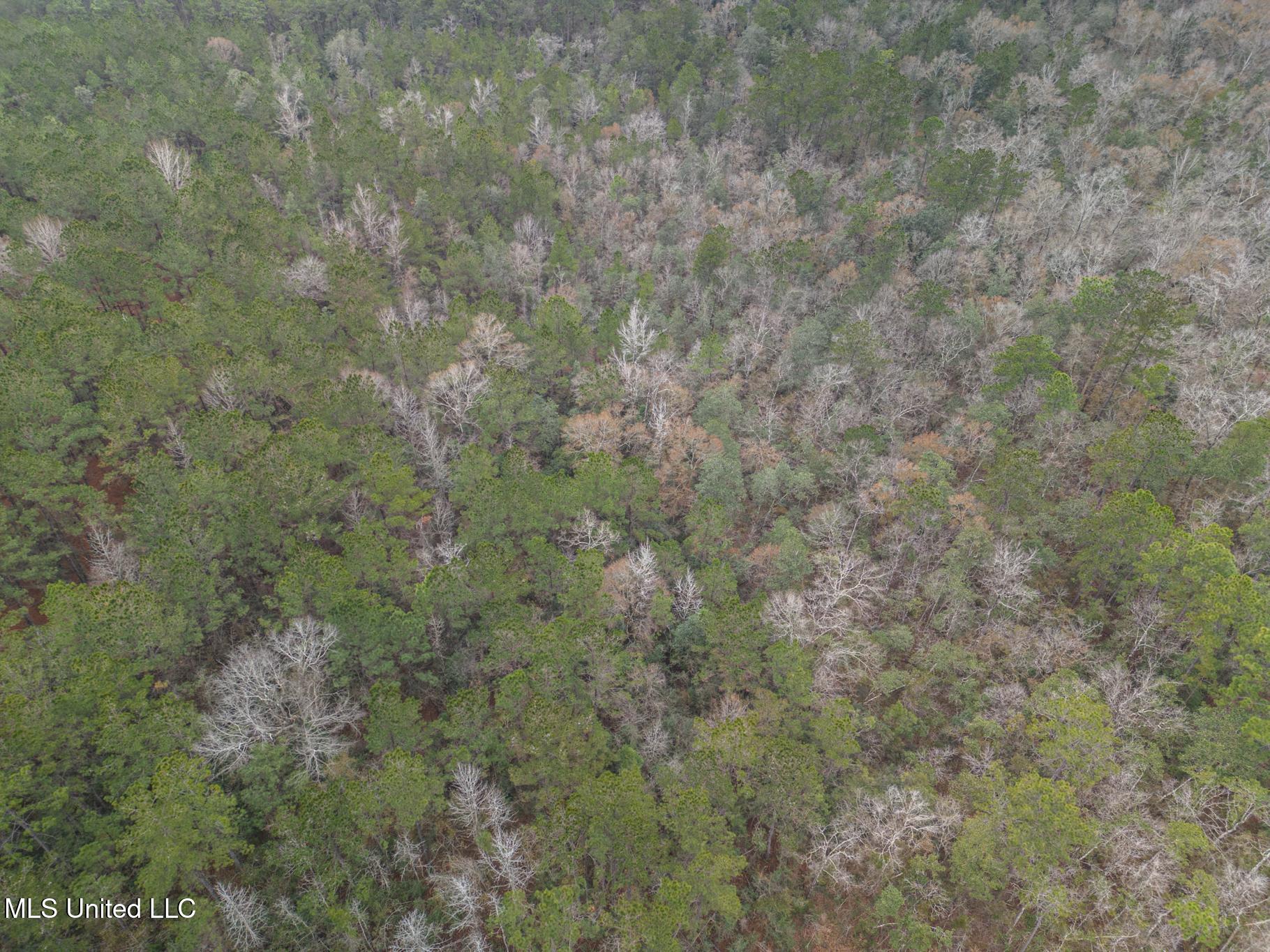 East Mchenry Road McHenry, MS 39561 - Photo 3 of 14 E McHenry-58
