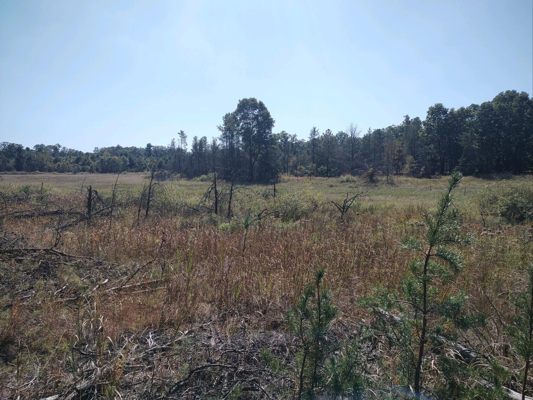 Dalson Road Holton, MI 49425 - Photo 1 of 1 25245