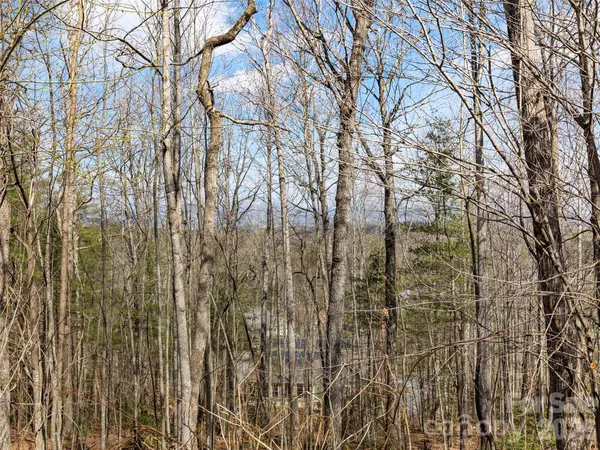 a view of a backyard of the house