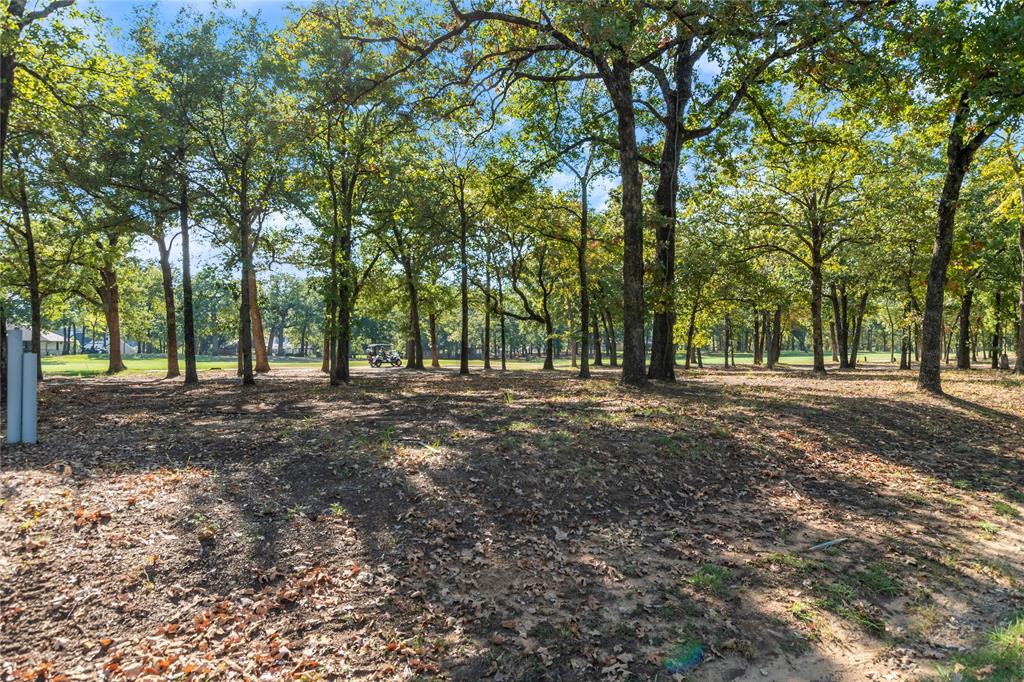 223 Colonial Drive Mabank, TX 75156 - Photo 2 of 10