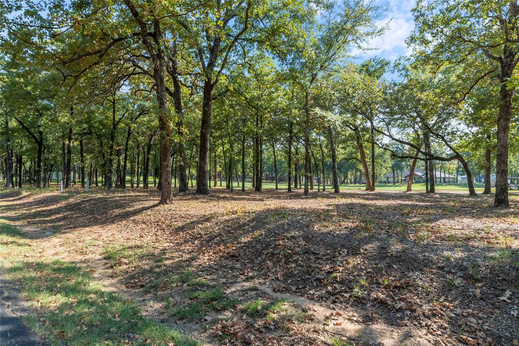 223 Colonial Drive Mabank, TX 75156 - Photo 3 of 10