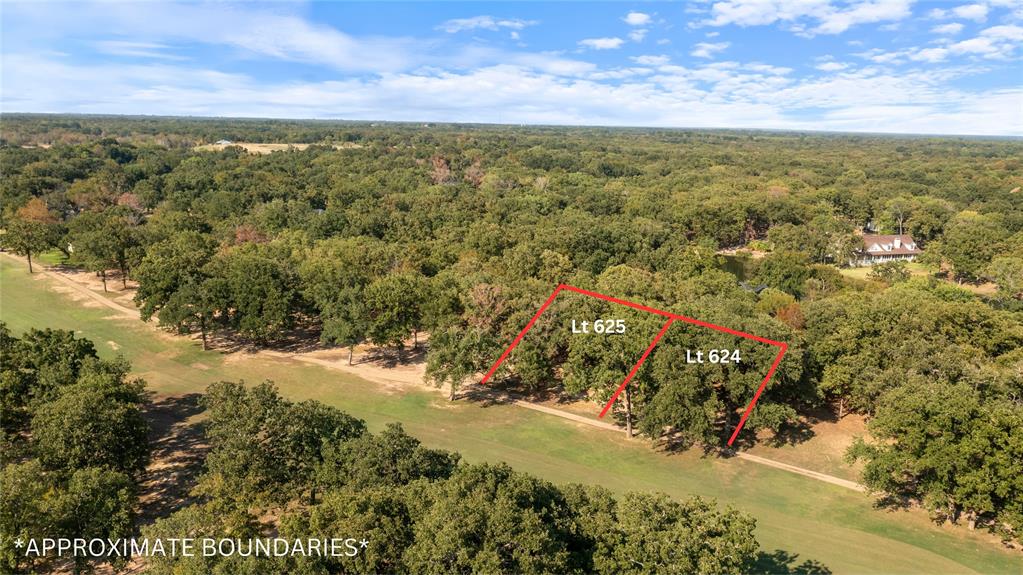 223 Colonial Drive Mabank, TX 75156 - Photo 4 of 10 221 and 223 Colonial available for $50,000 each --together they make over half an acre.