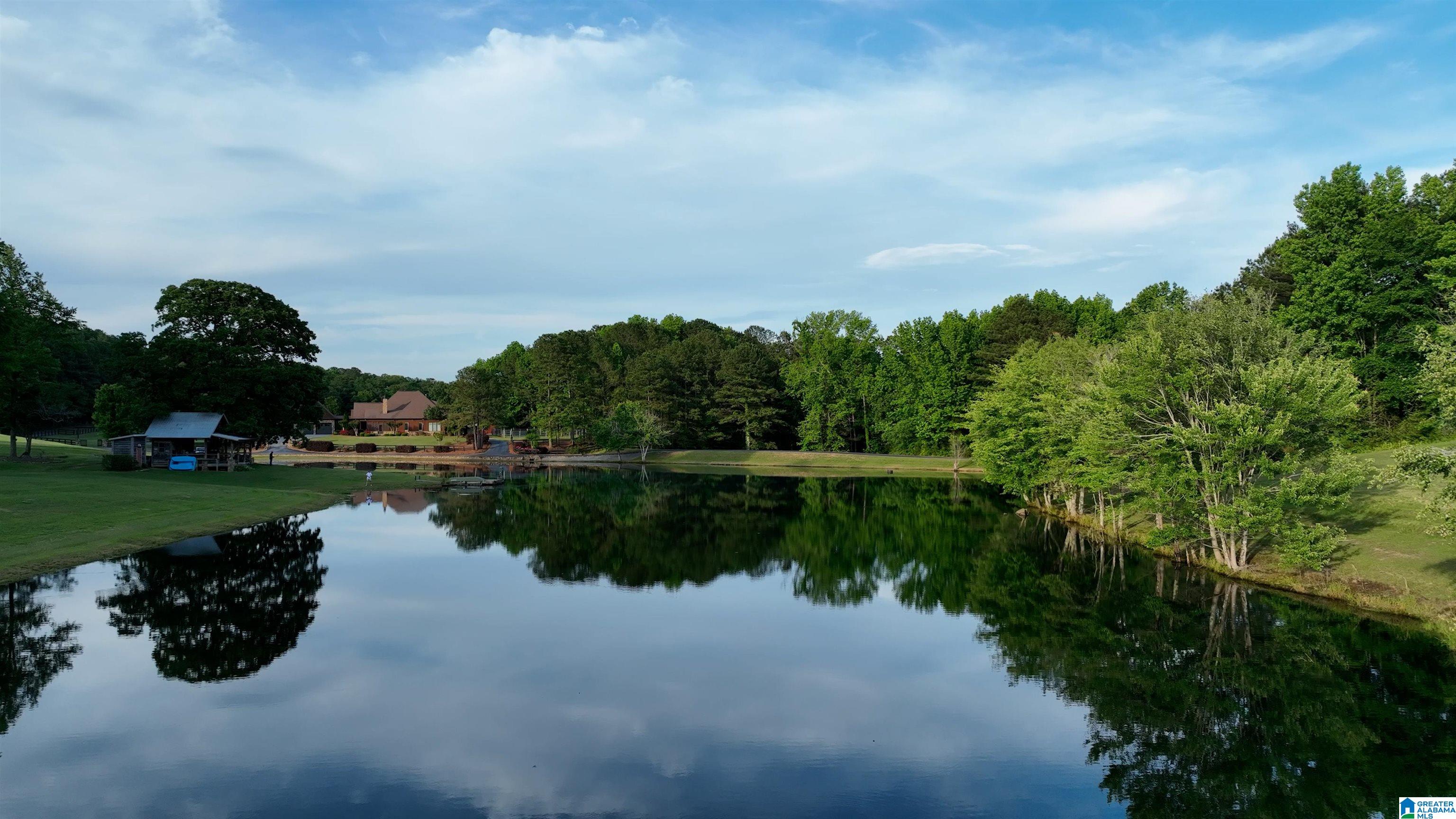 5145 Pine Mountain Road Remlap, AL 35133 - Photo 98 of 100