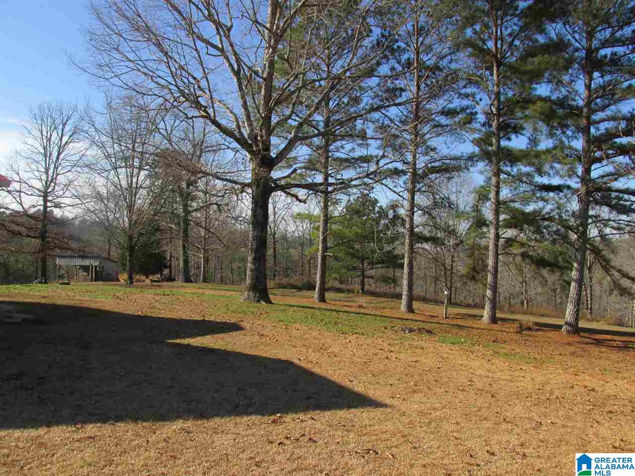 178 Jones Chapel Road Springville, AL 35146 - Photo 12 of 13