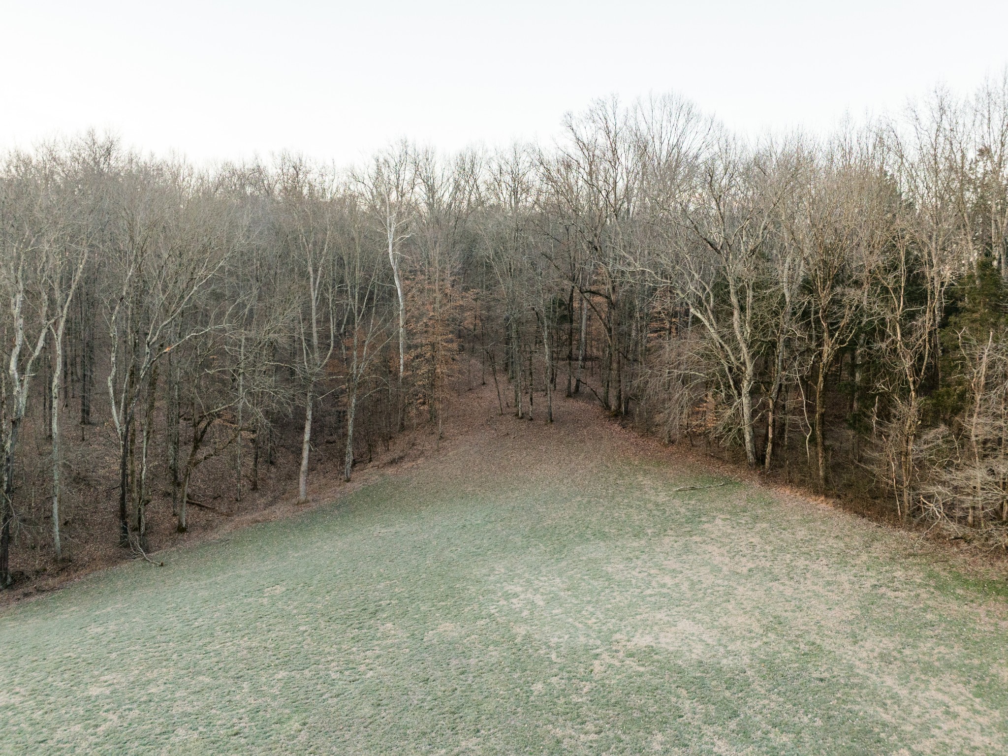 1 Pinewood Road Nunnelly, TN 37137 - Photo 3 of 10 a view of a forest with trees