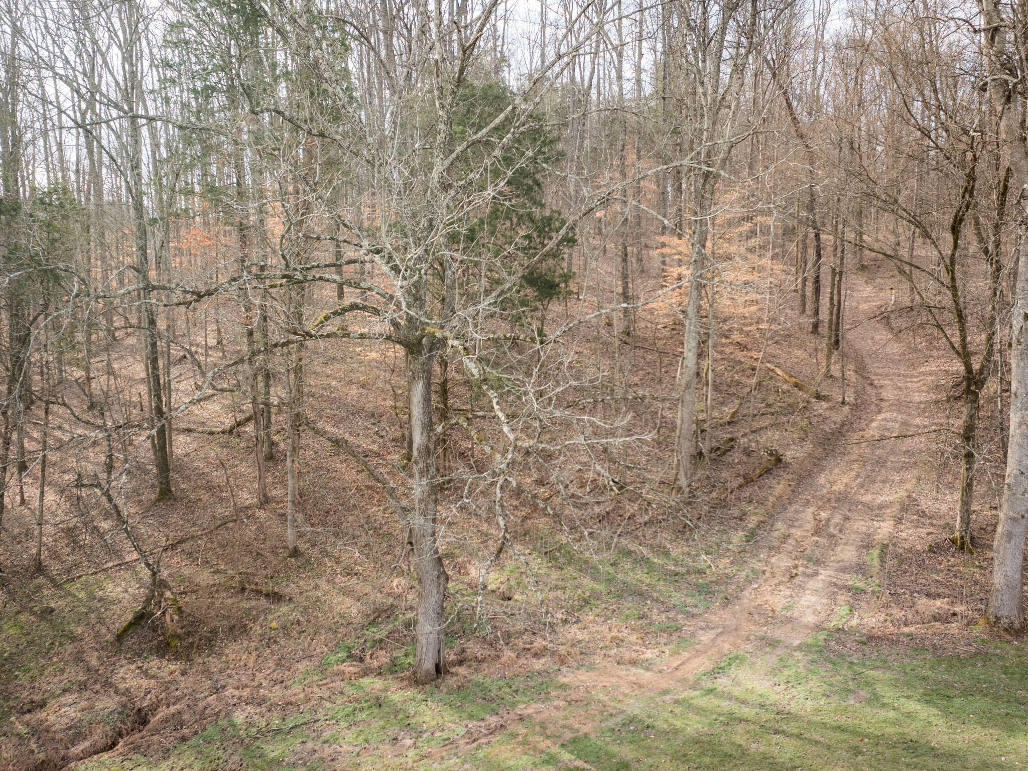 1 Pinewood Road Nunnelly, TN 37137 - Photo 4 of 10 a close up of a white marble wall