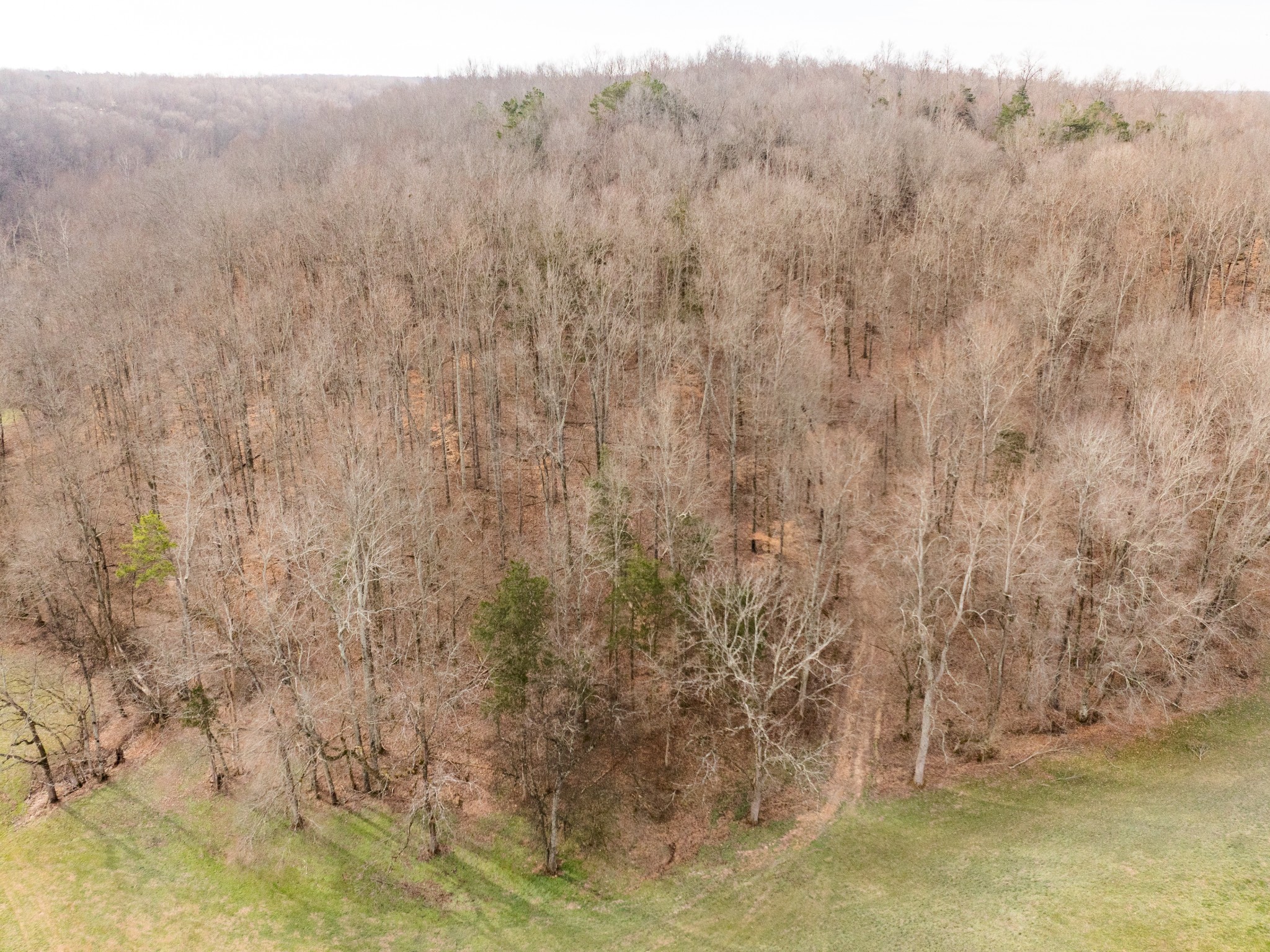 1 Pinewood Road Nunnelly, TN 37137 - Photo 5 of 10 a view of a lake view