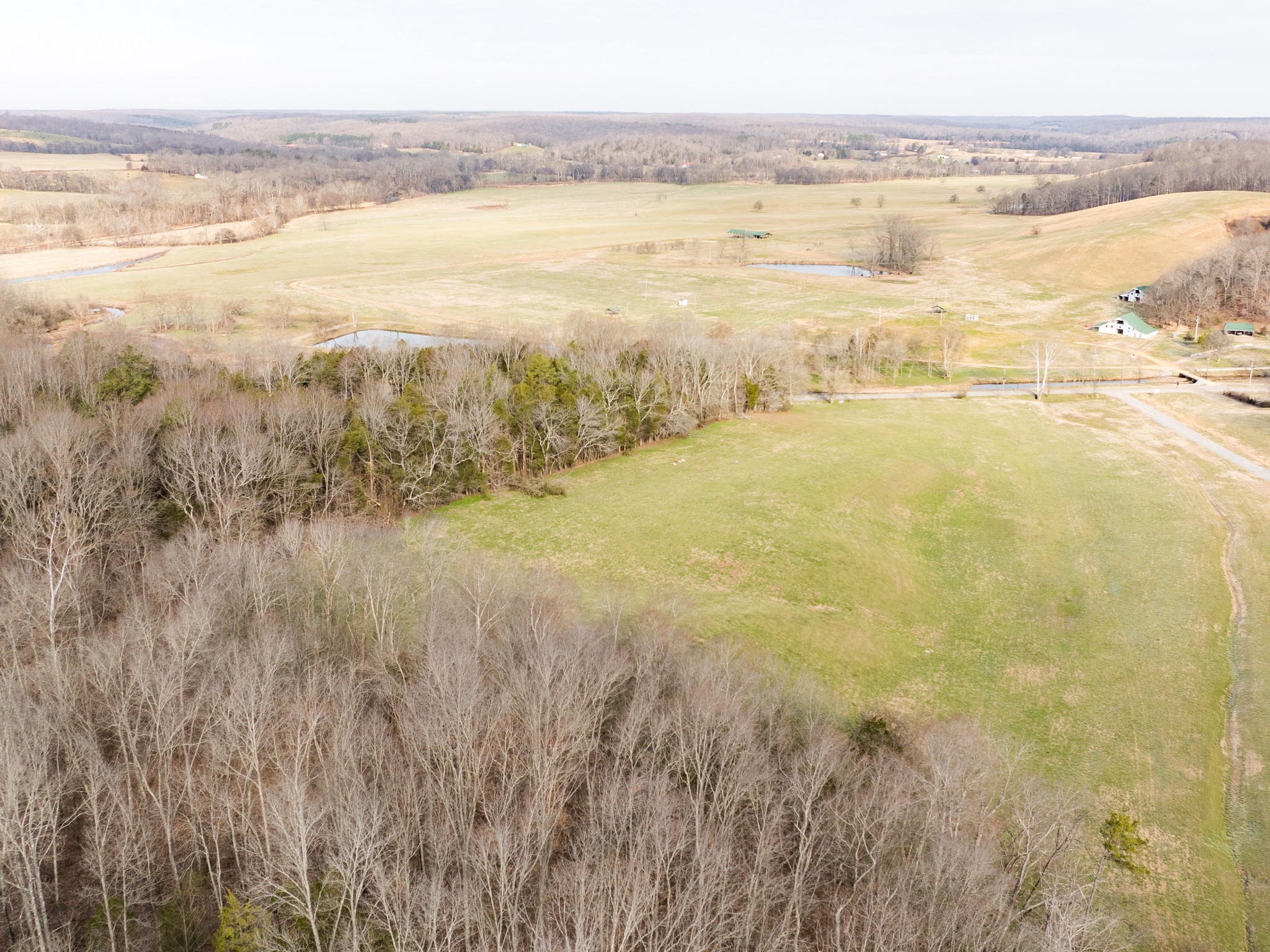 1 Pinewood Road Nunnelly, TN 37137 - Photo 7 of 10 a view of an ocean
