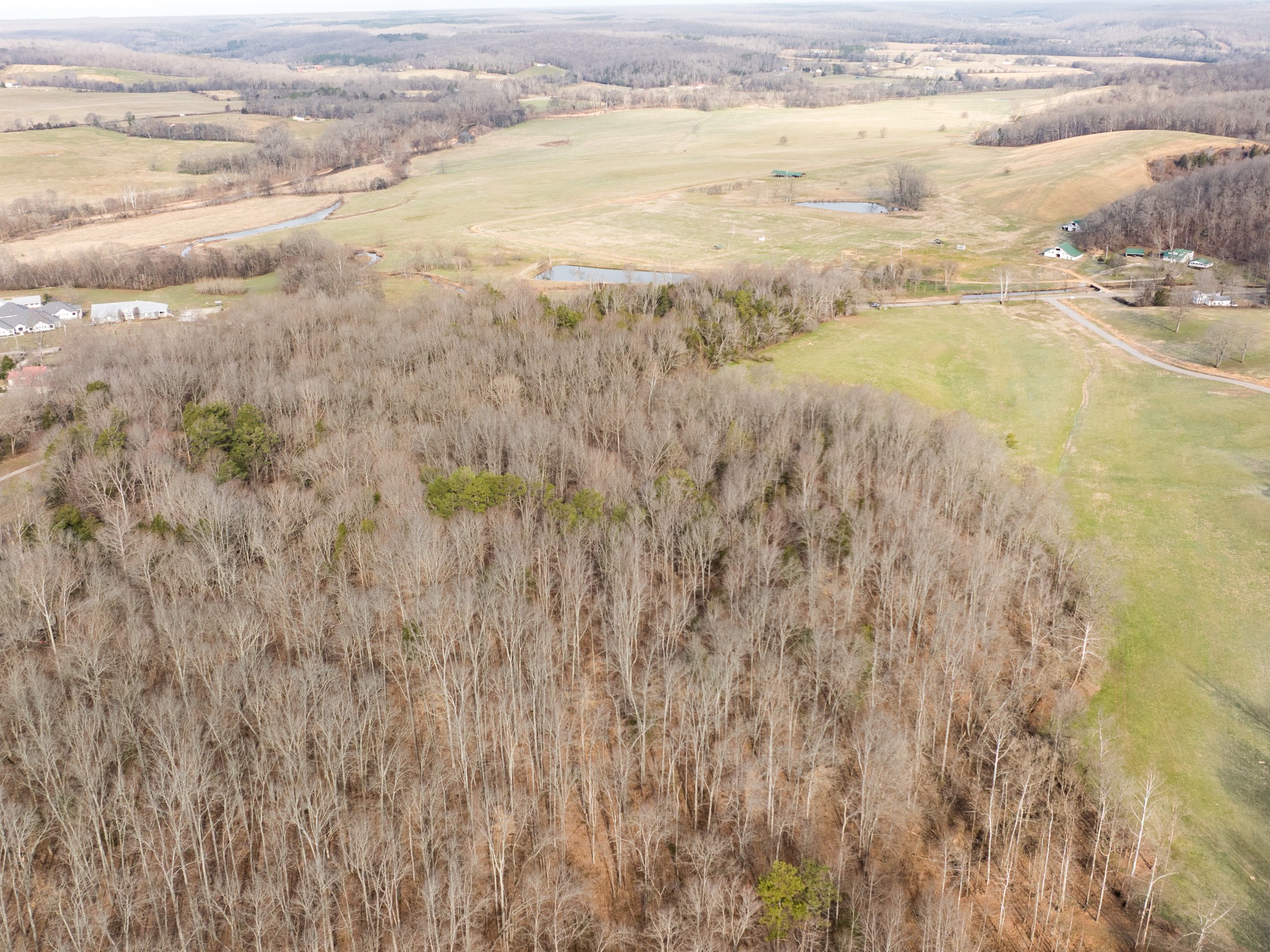 1 Pinewood Road Nunnelly, TN 37137 - Photo 8 of 10 a view of an ocean