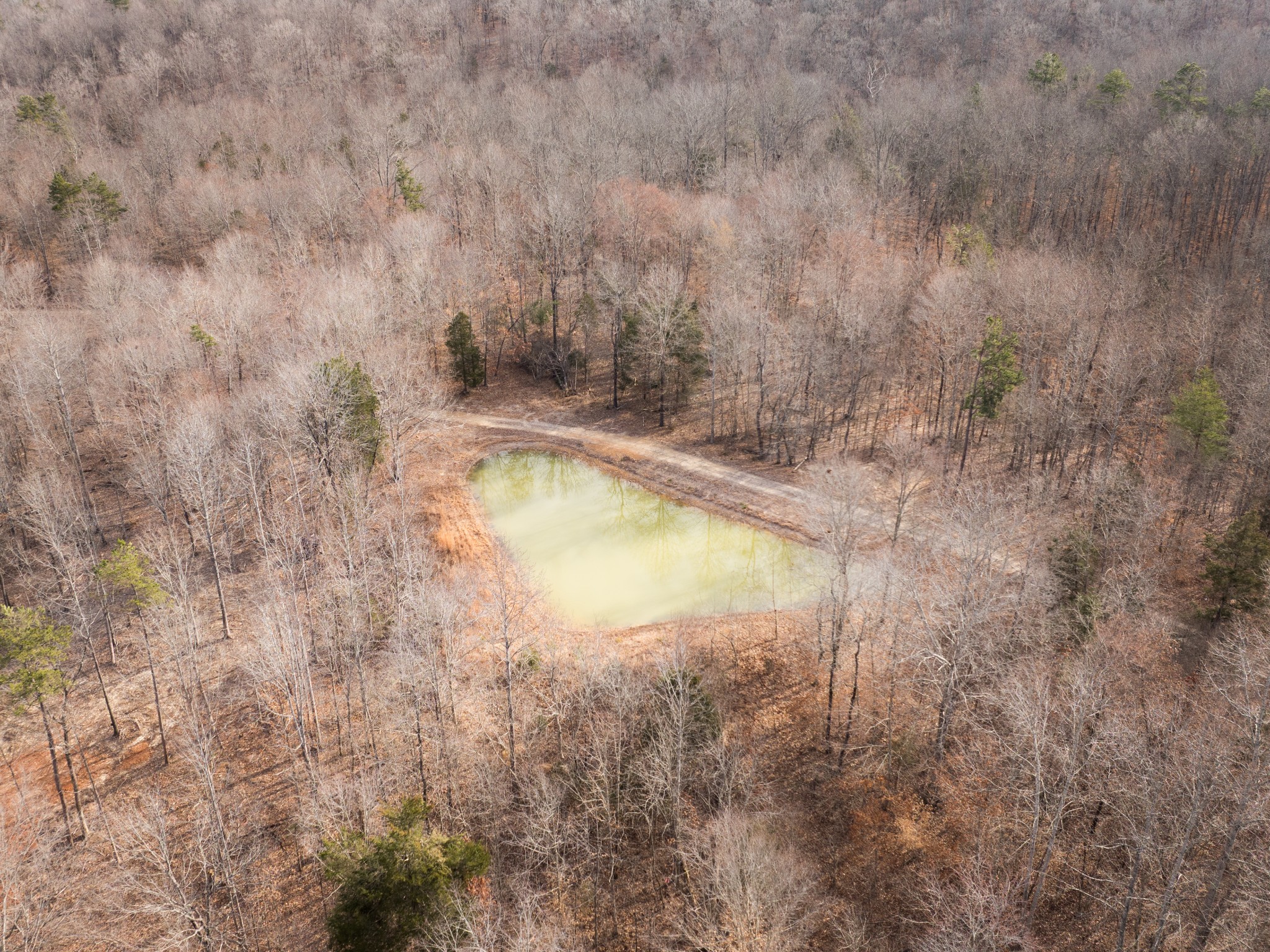 1 Pinewood Road Nunnelly, TN 37137 - Photo 9 of 10 a view of a swimming pool and trees in the background