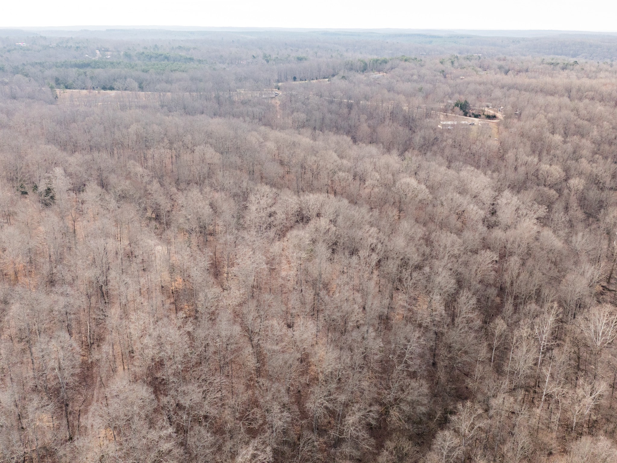 1 Pinewood Road Nunnelly, TN 37137 - Photo 10 of 10 a view of a dry in middle of field