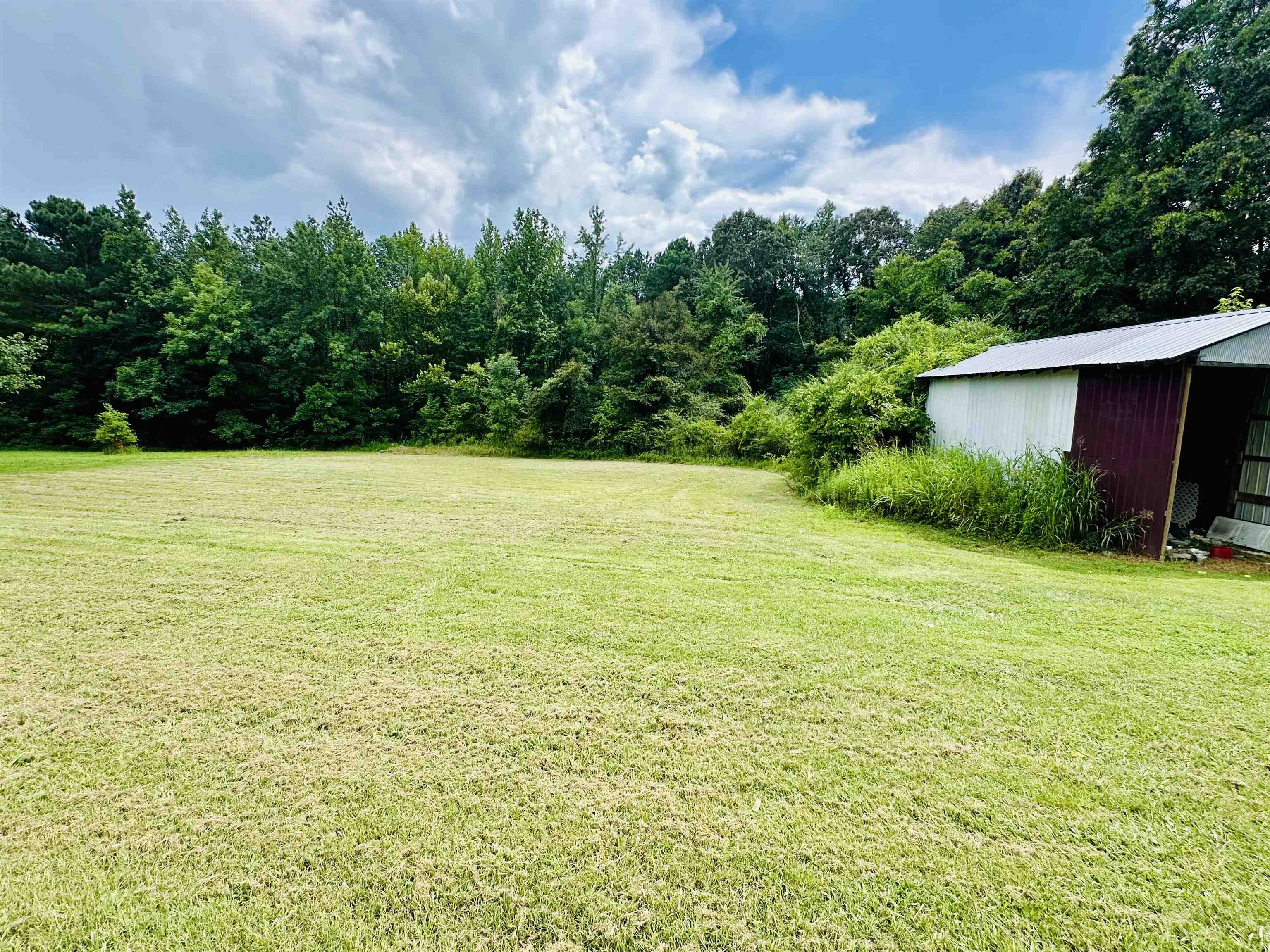 287 Gilchrist Stantonville Road Adamsville, TN 38310 - Photo 5 of 29 View of grassy yard featuring an outbuilding and an outdoor structure