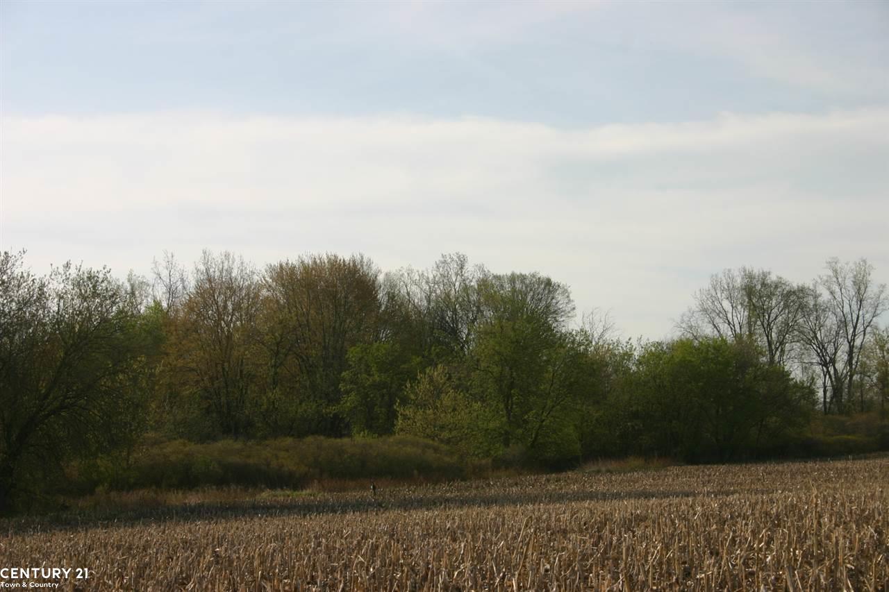 0 Corneil Road, Unit PARCEL 8 Imlay City, MI 48444 - Photo 11 of 30 Gallery Image 11