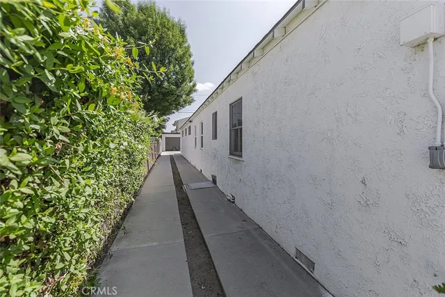 a path view of a pathway