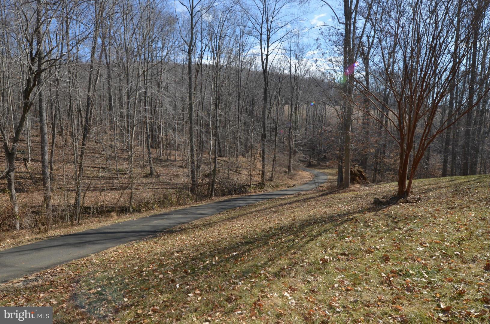 6434 Carters Run Road Marshall, VA 20115 - Photo 7 of 29 a view of a yard with wooden fence